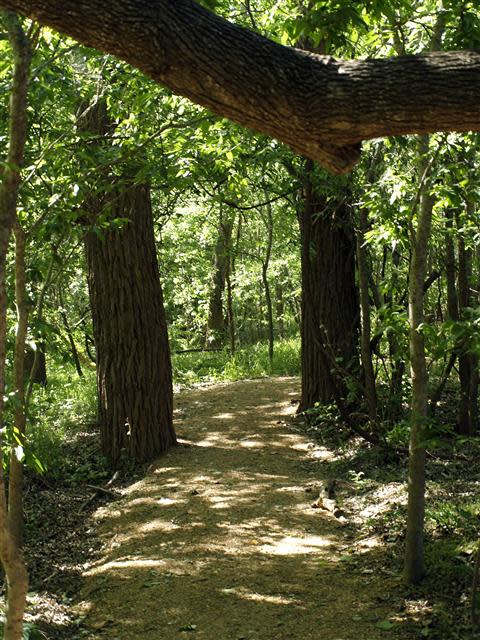 Lost Pines Nature Trails along the Colorado River at Tahitian Village, Bastrop